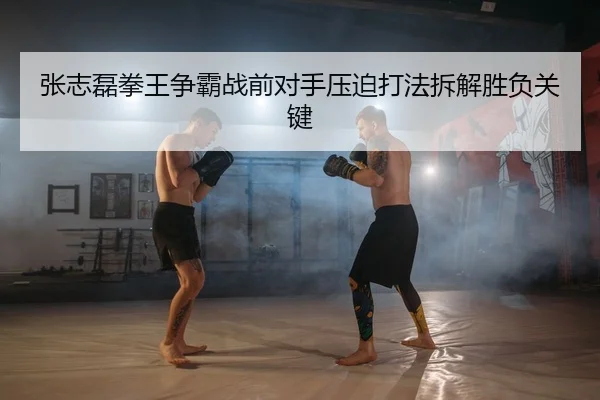 张志磊拳王争霸战前对手压迫打法拆解胜负关键